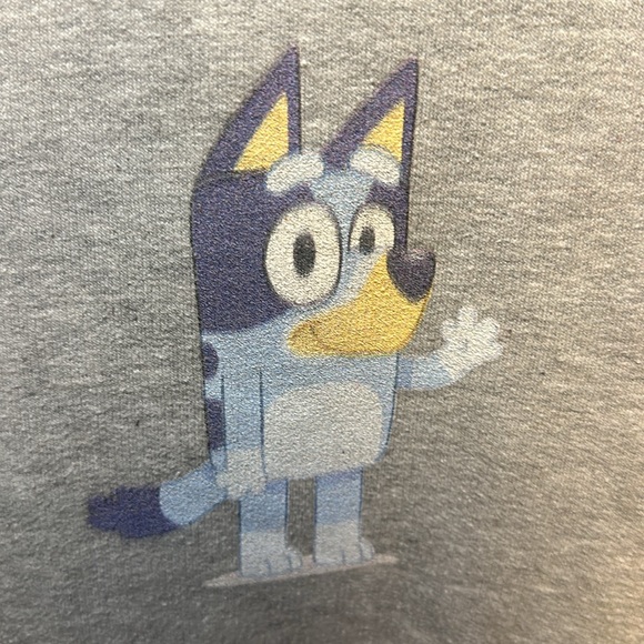 BLUEY Hooded Sweatshirt Light Gray Youth Size Small - Picture 2 of 5